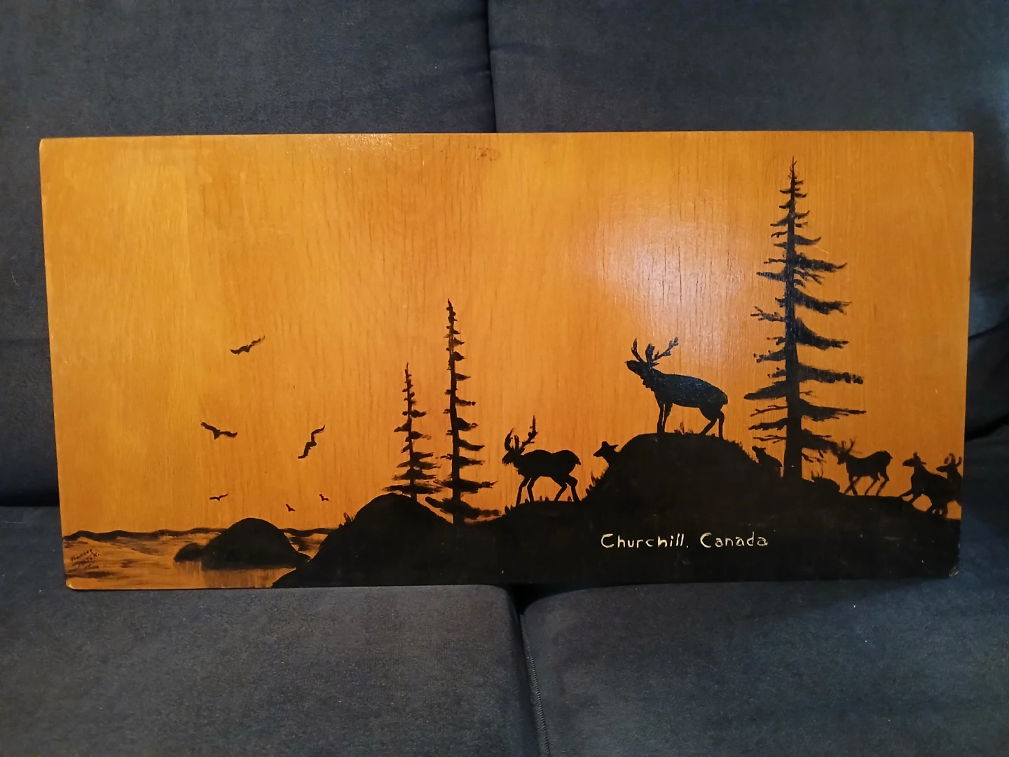 " Silhouette of a Caribou herd "