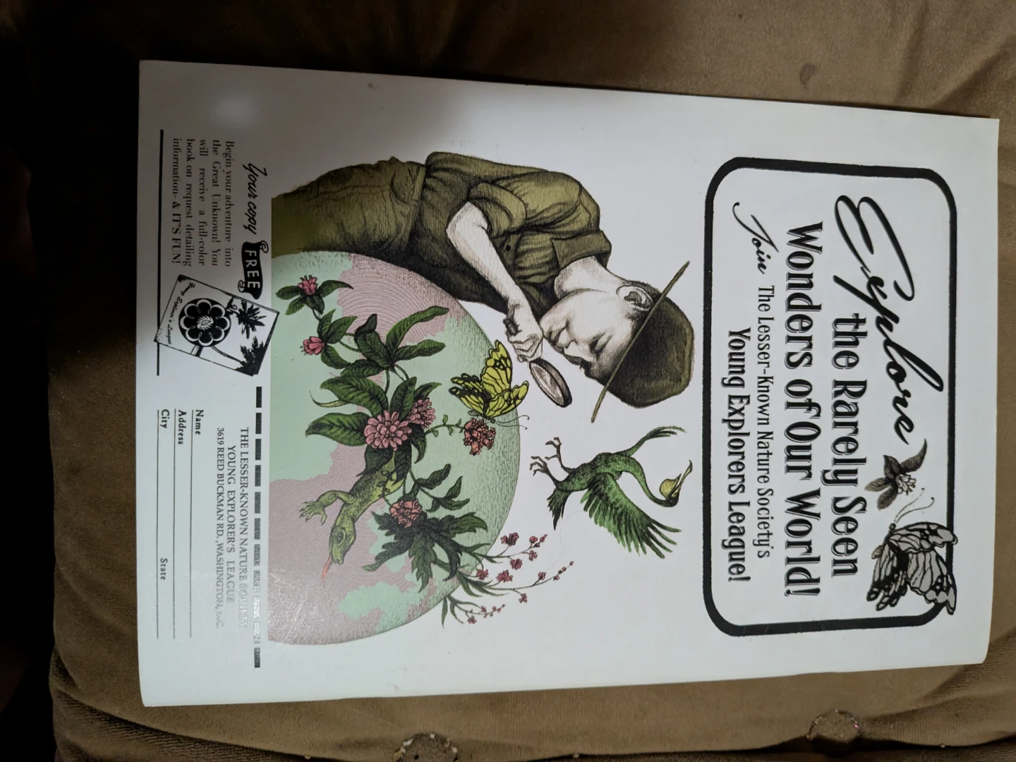 The International Journal of Lesser-Known Mammals by C. M. Duffy - photo 2