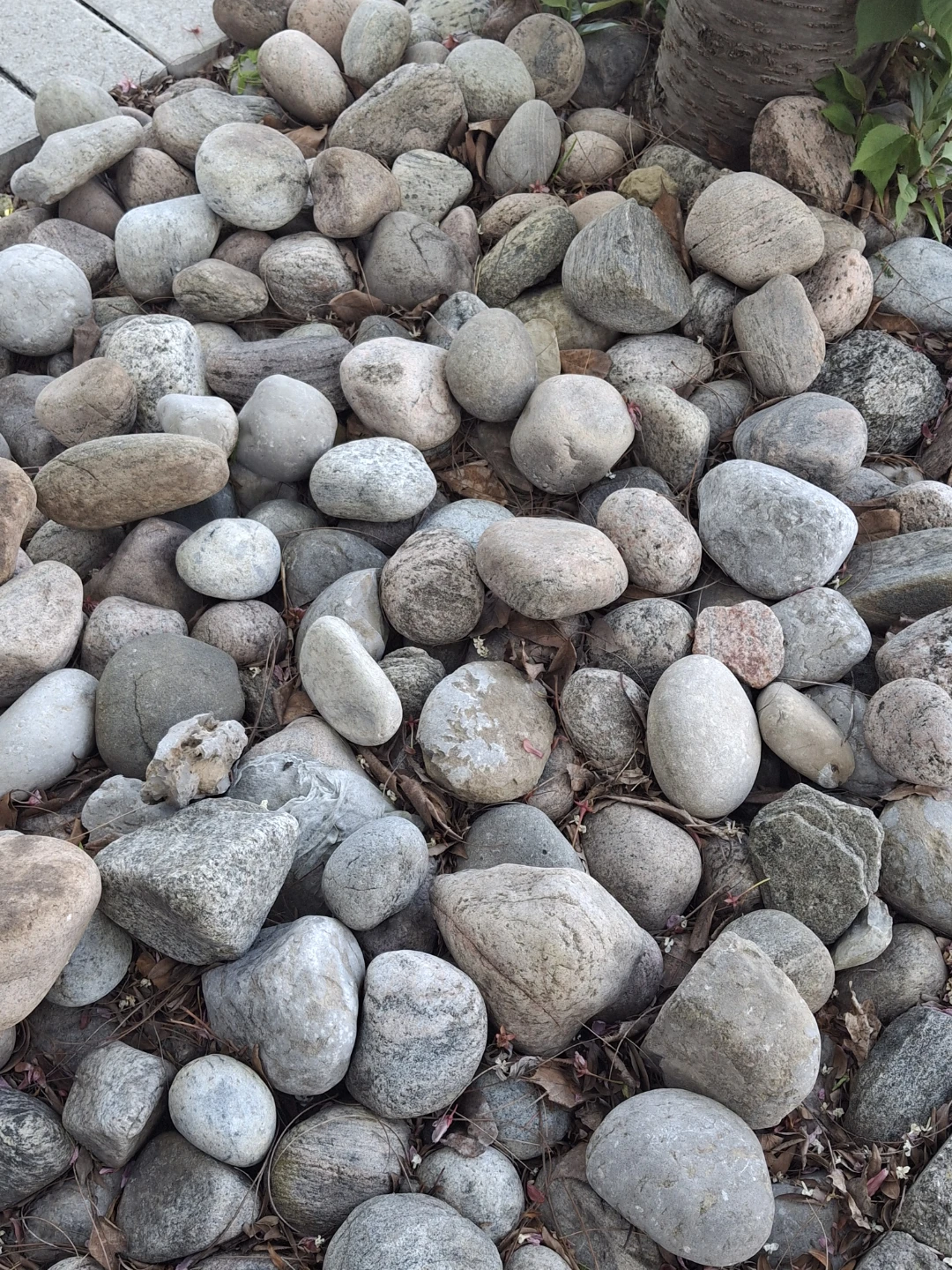 Mixed River Rocks - photo 3