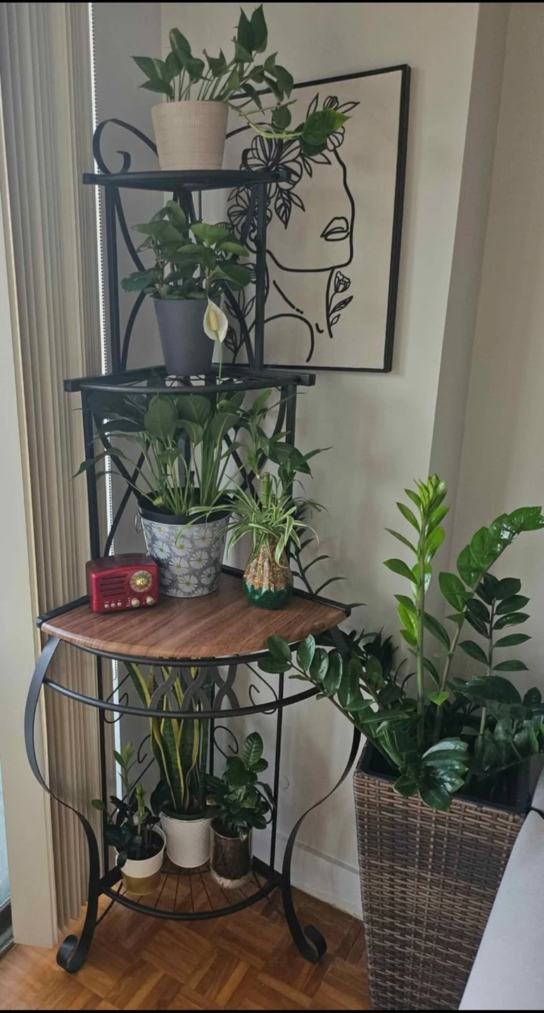 Plant shelf