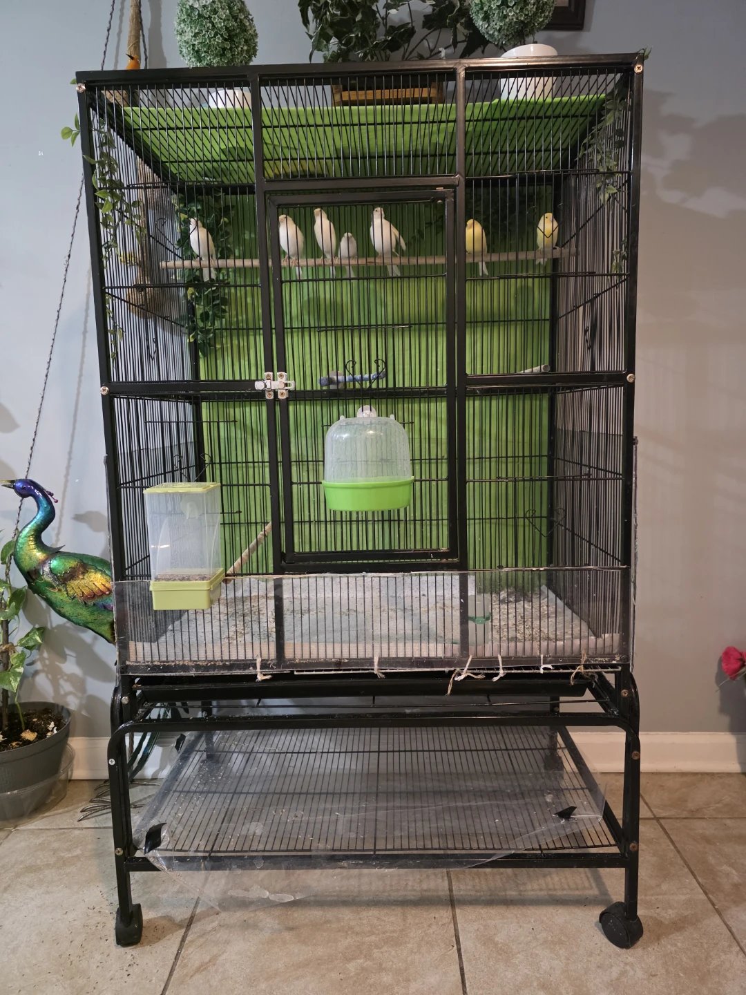 Large Bird Cage with Stand