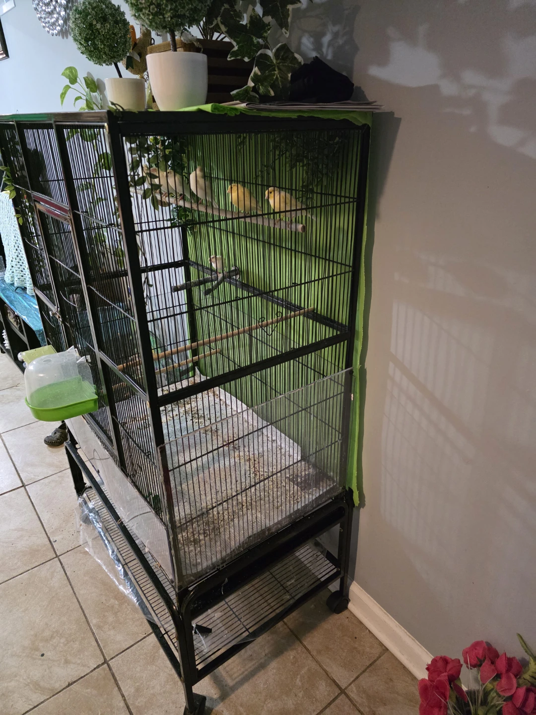 Large Bird Cage with Stand - photo 3