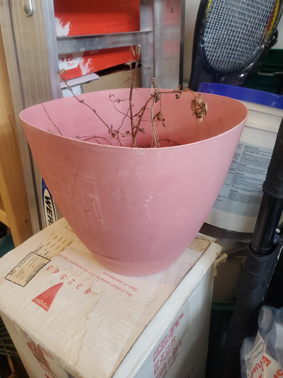 Pink Plastic Planter Pot