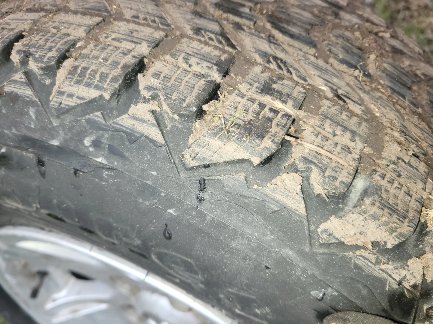 Firestone Winter Tires on Dodge Ram Rims - photo 4