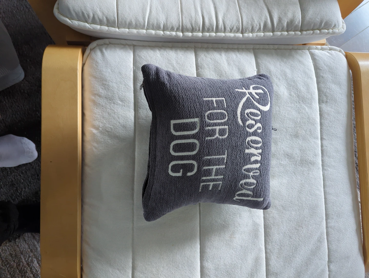 Reserved For The Dog Accent Pillow