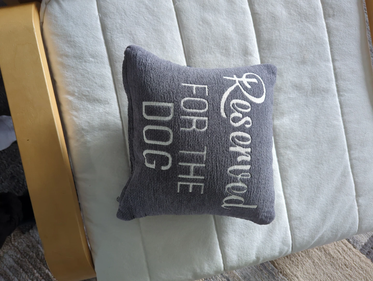 Reserved For The Dog Accent Pillow - photo 2