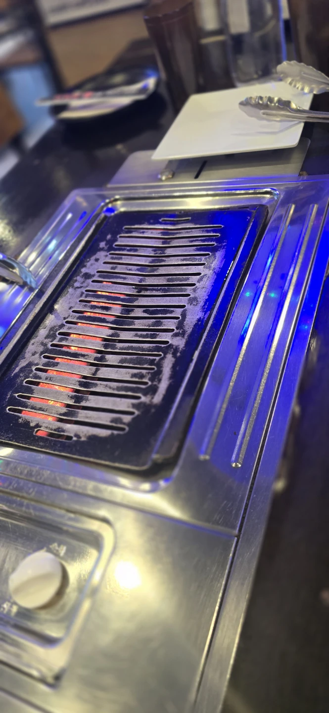 Portable Electric Grill Plate