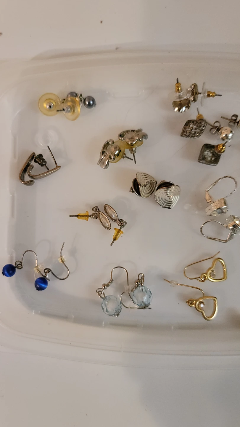 Assorted Lot of Earrings (F)