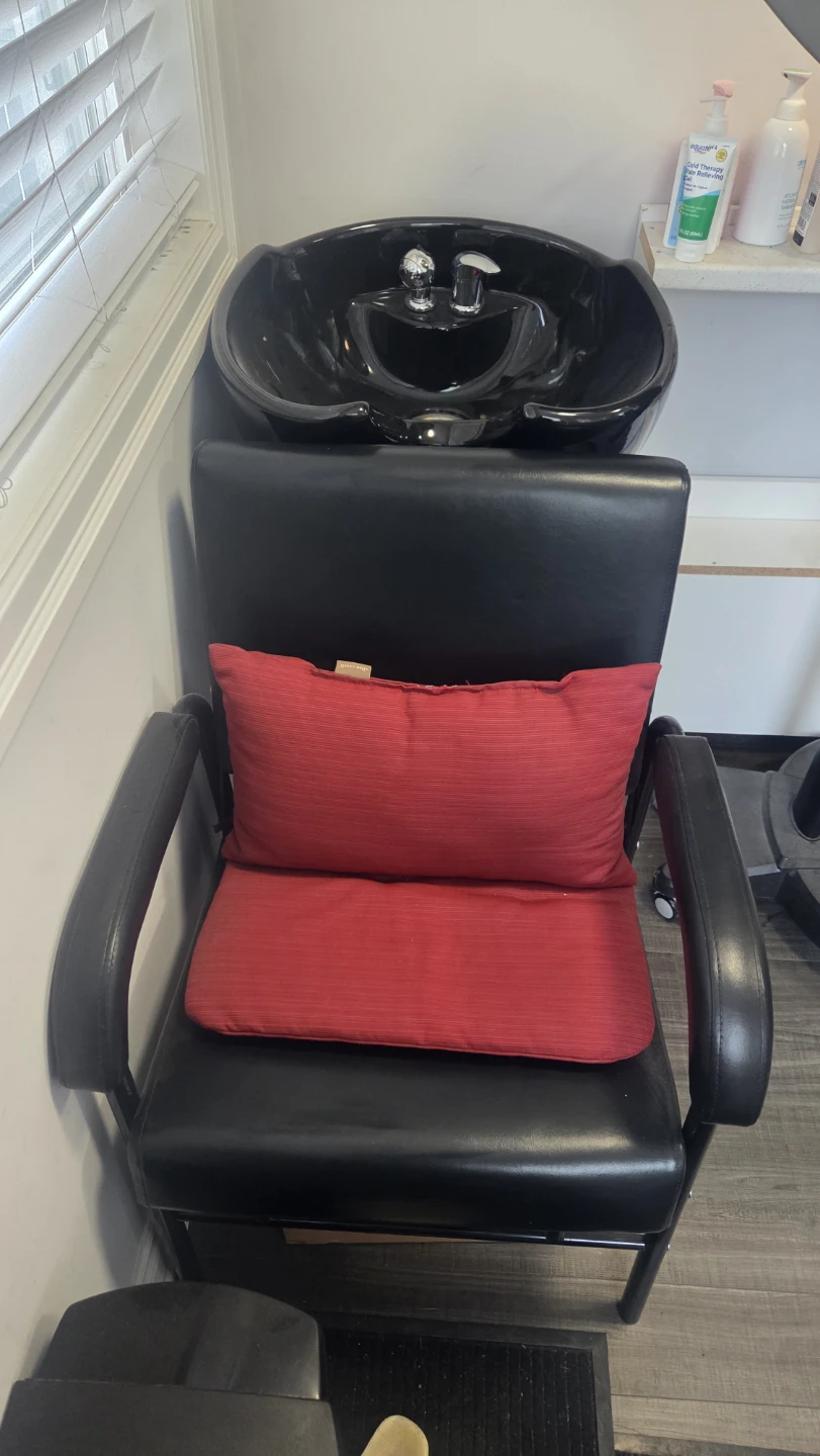 Professional Hair Steamer and Shampoo Unit - photo 4