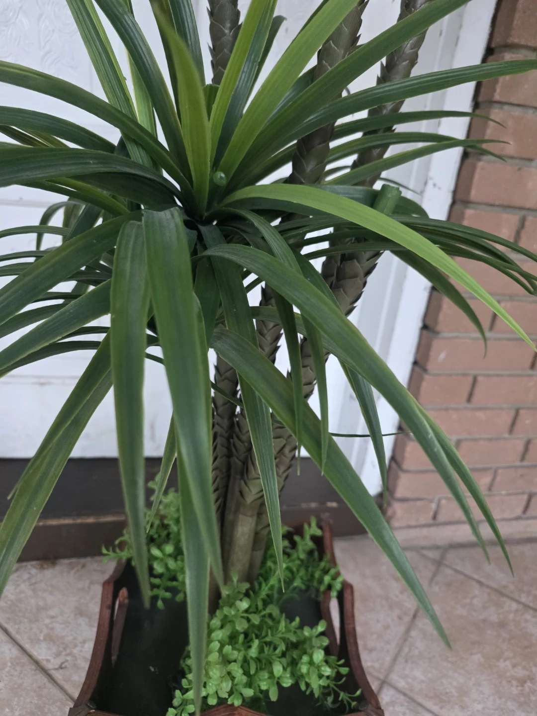 Artificial Dragon Tree Plant in Wooden Pot - photo 4