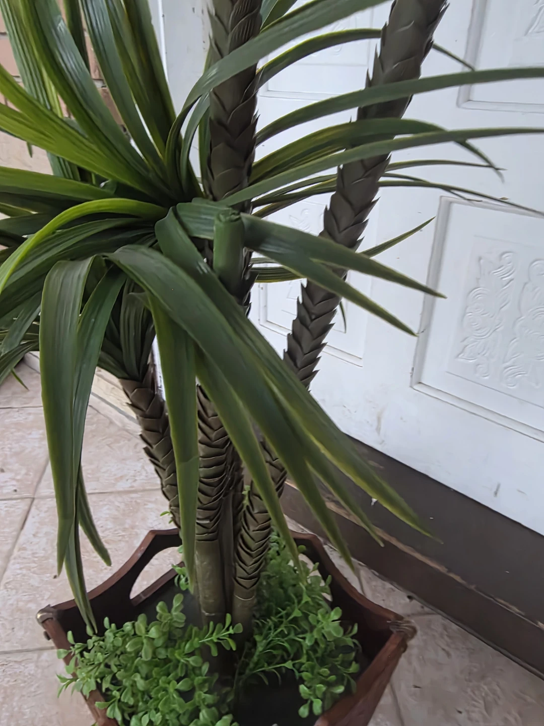 Artificial Dragon Tree Plant in Wooden Pot - photo 5