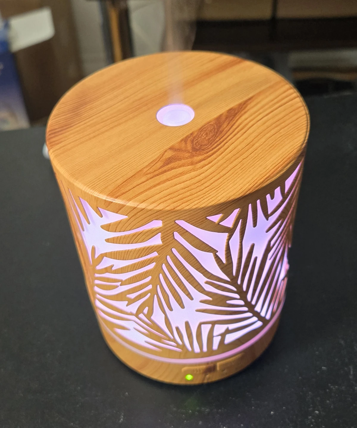Essential Oil Diffuser with Unique Water Plants Design