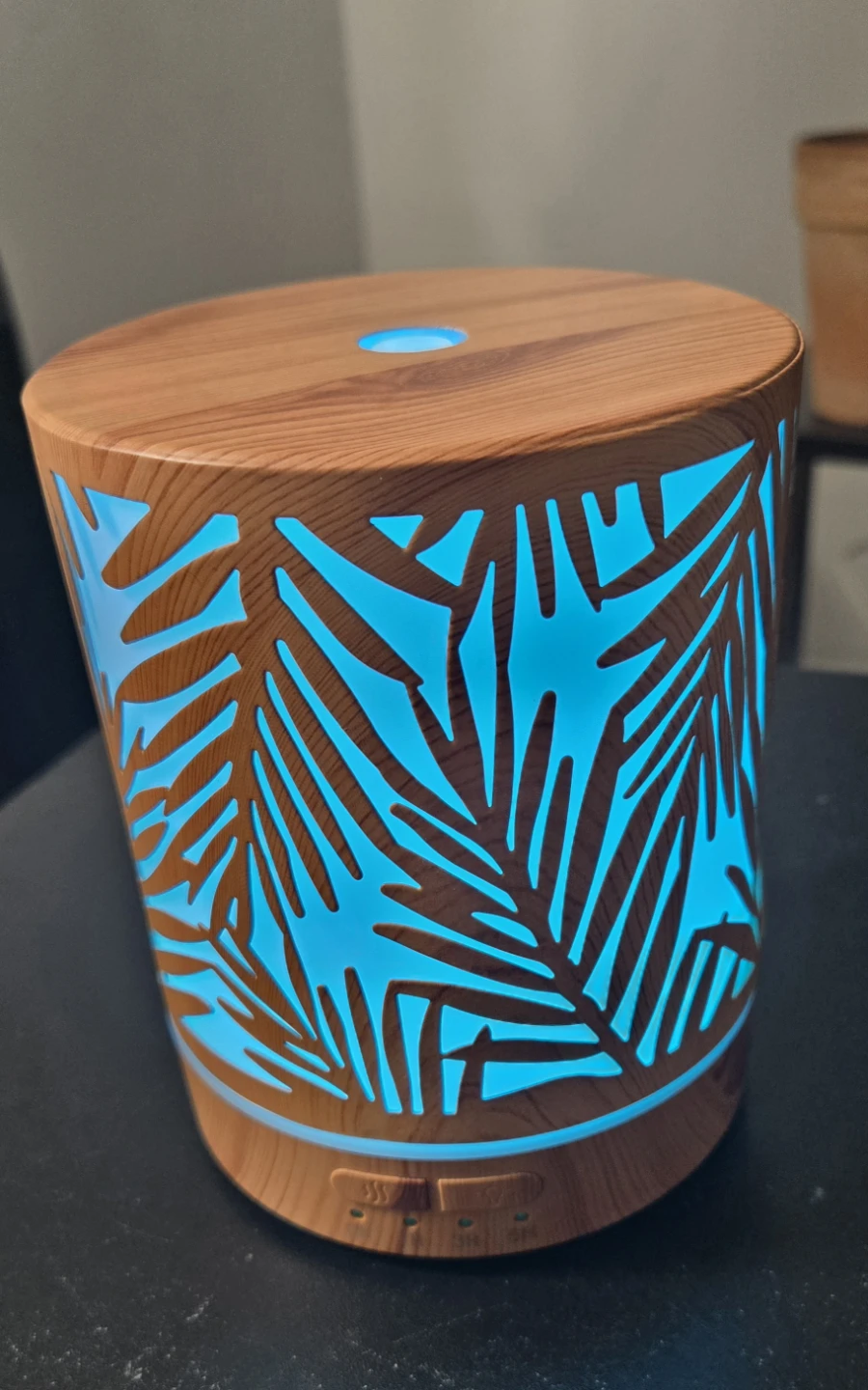 Essential Oil Diffuser with Unique Water Plants Design - photo 3