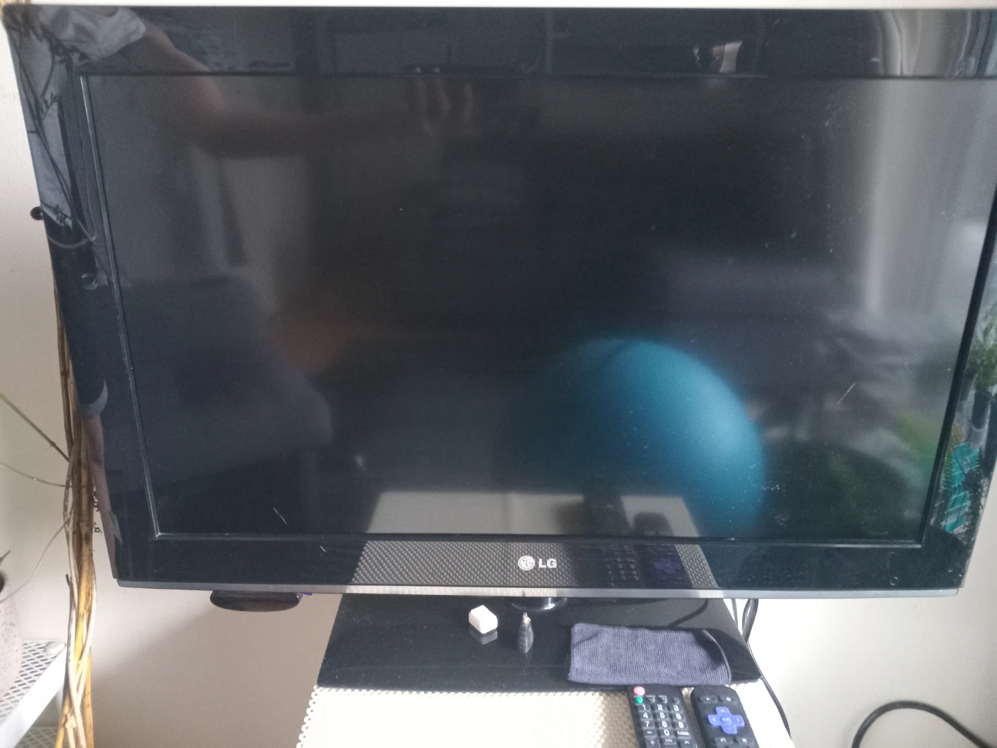 LG Television + Roku module