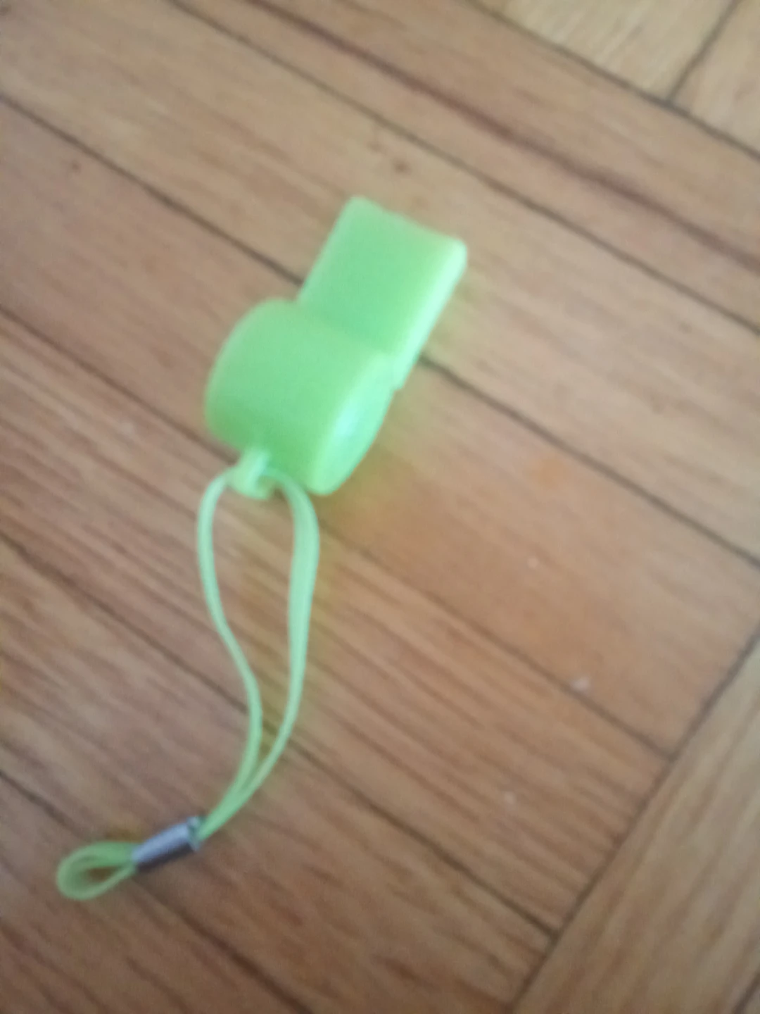 Green Plastic Whistle with Lanyard