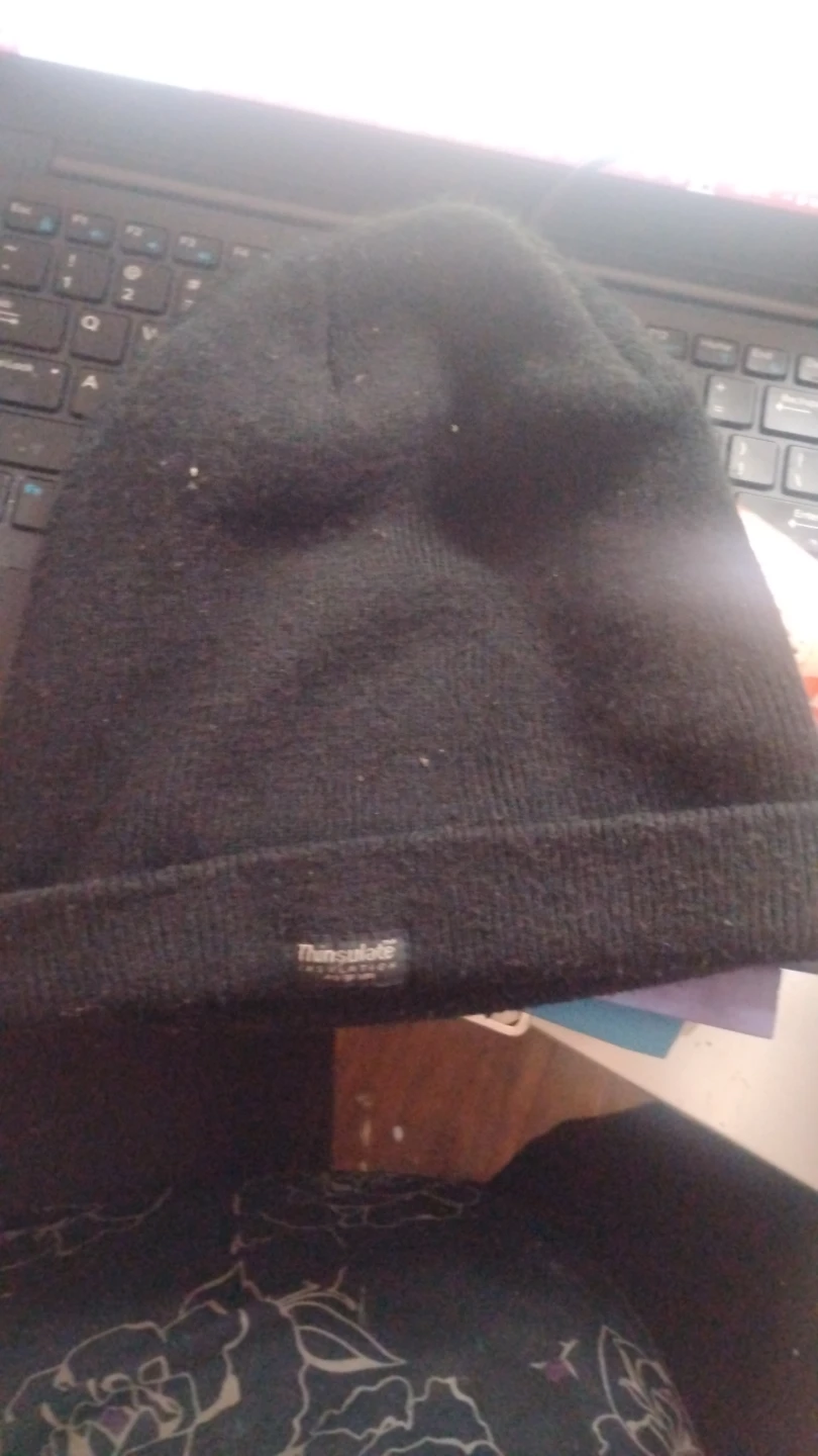 Black Thinsulate toque FREE
