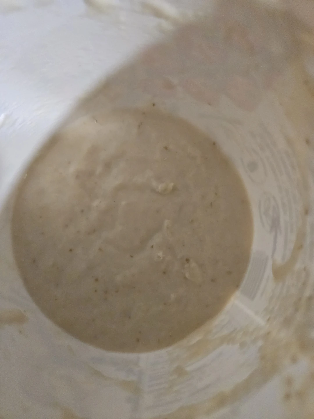 Sourdough starter