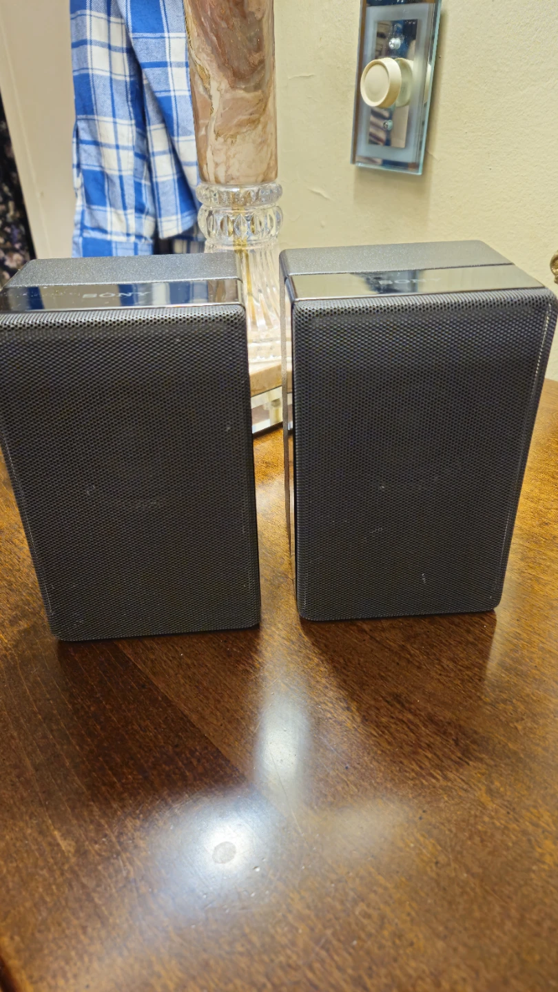 Sony SA-RZ9R Active Rear Speakers
