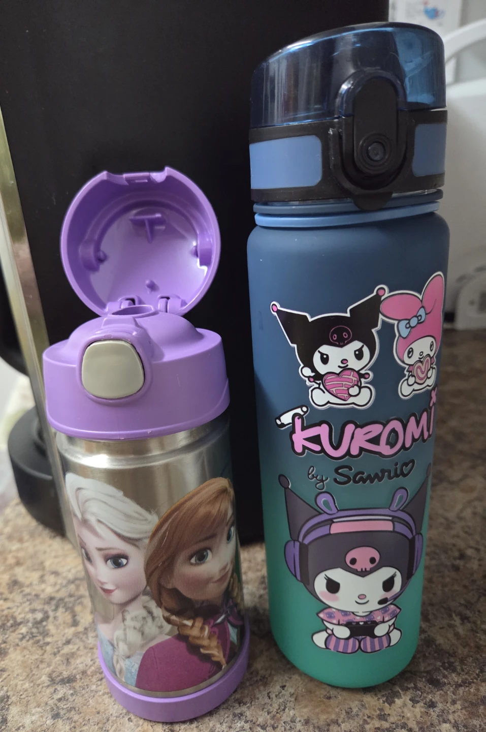 Sanrio Kuromi & Frozen Water Bottle
