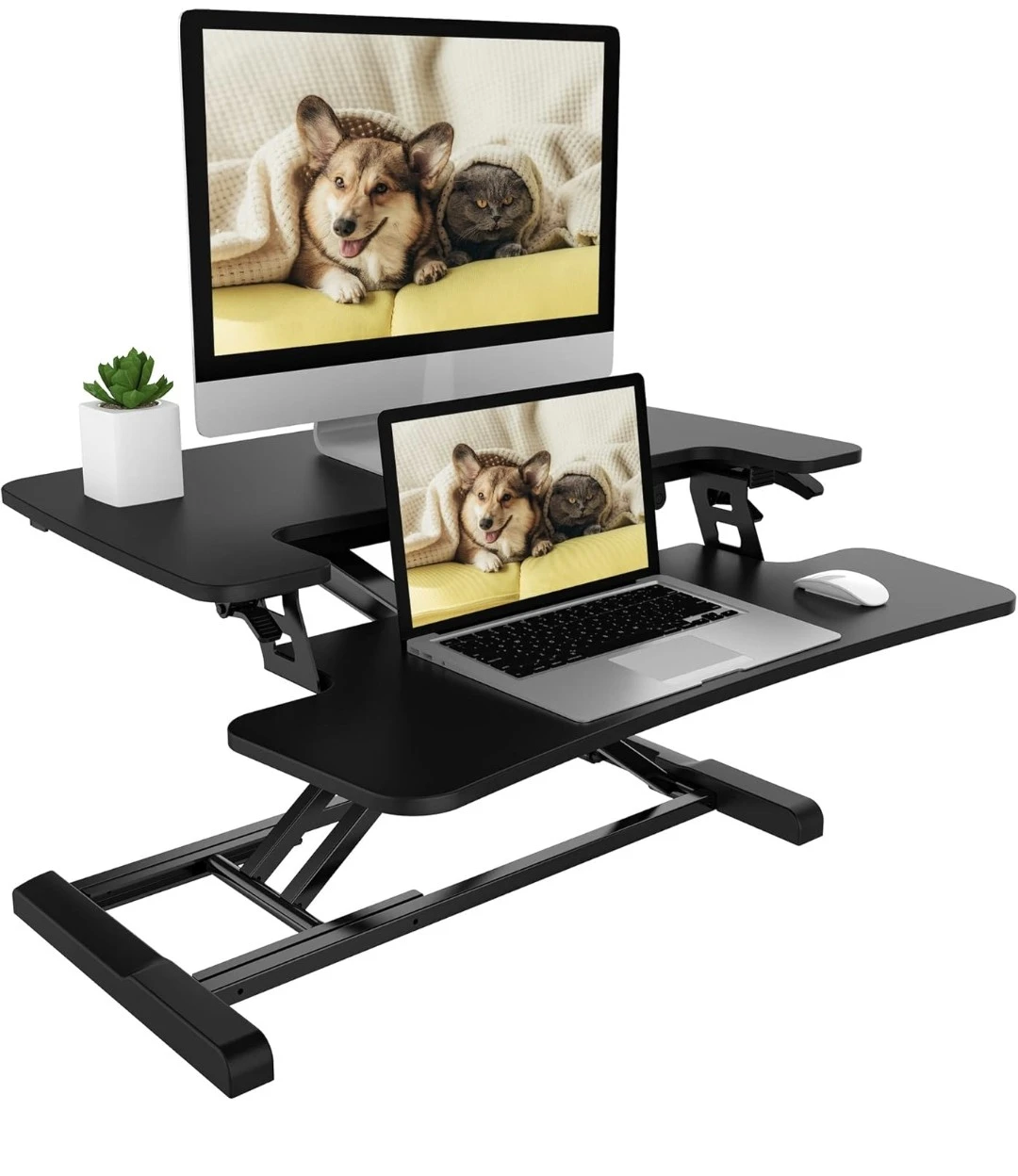 Standing Desk - M7 - photo 2