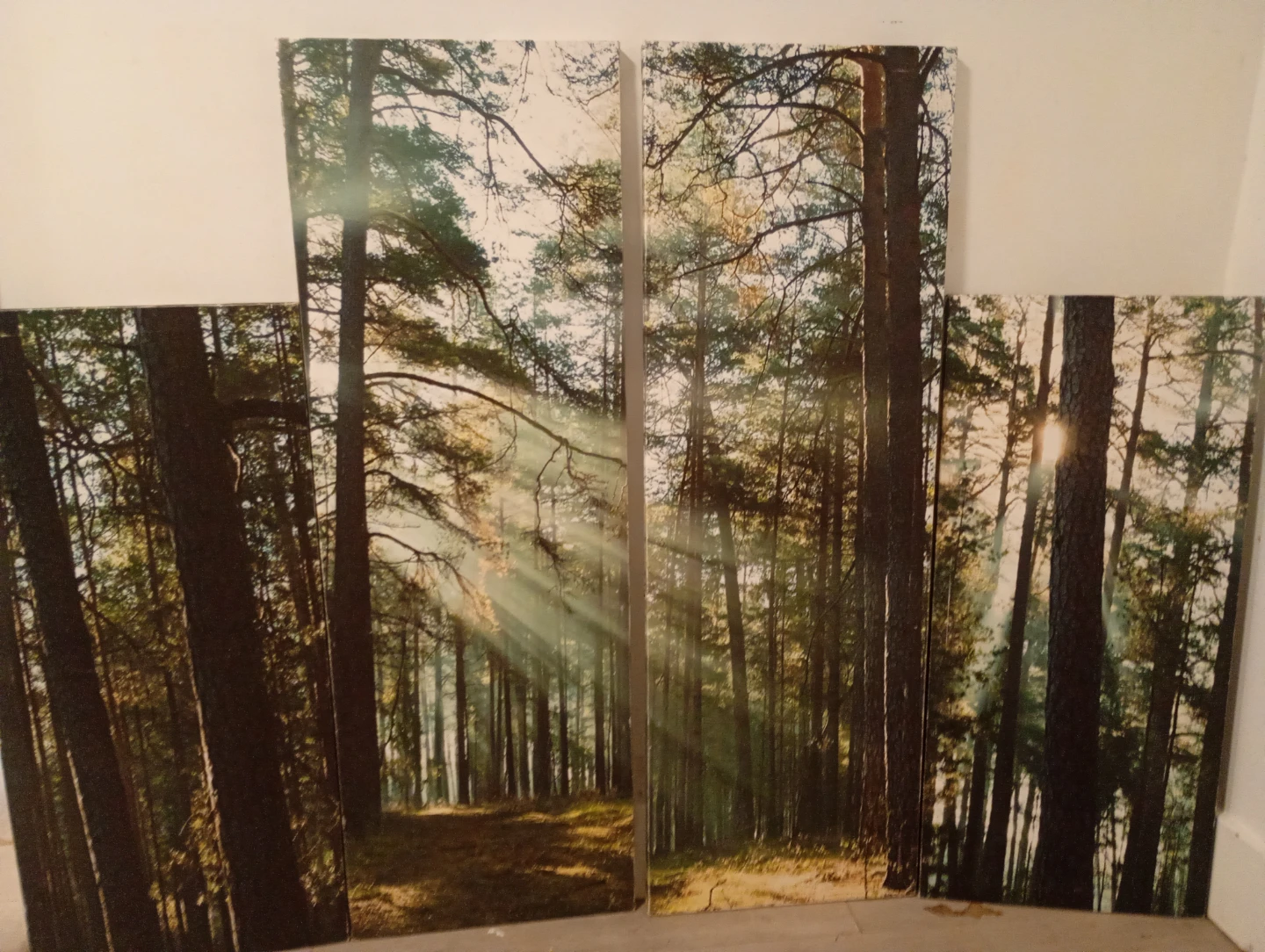Set of 4 Forest Scene Canvas Wall Art