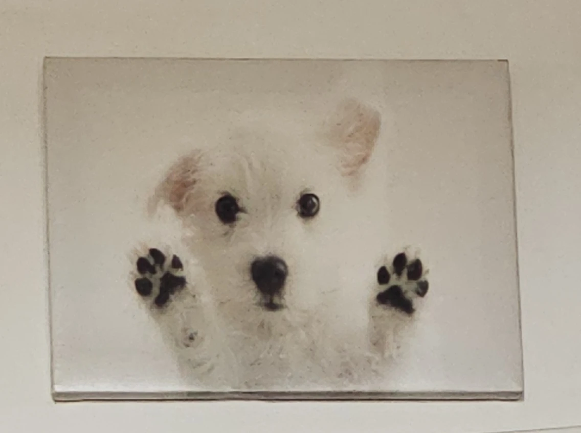 For free art dog paintings