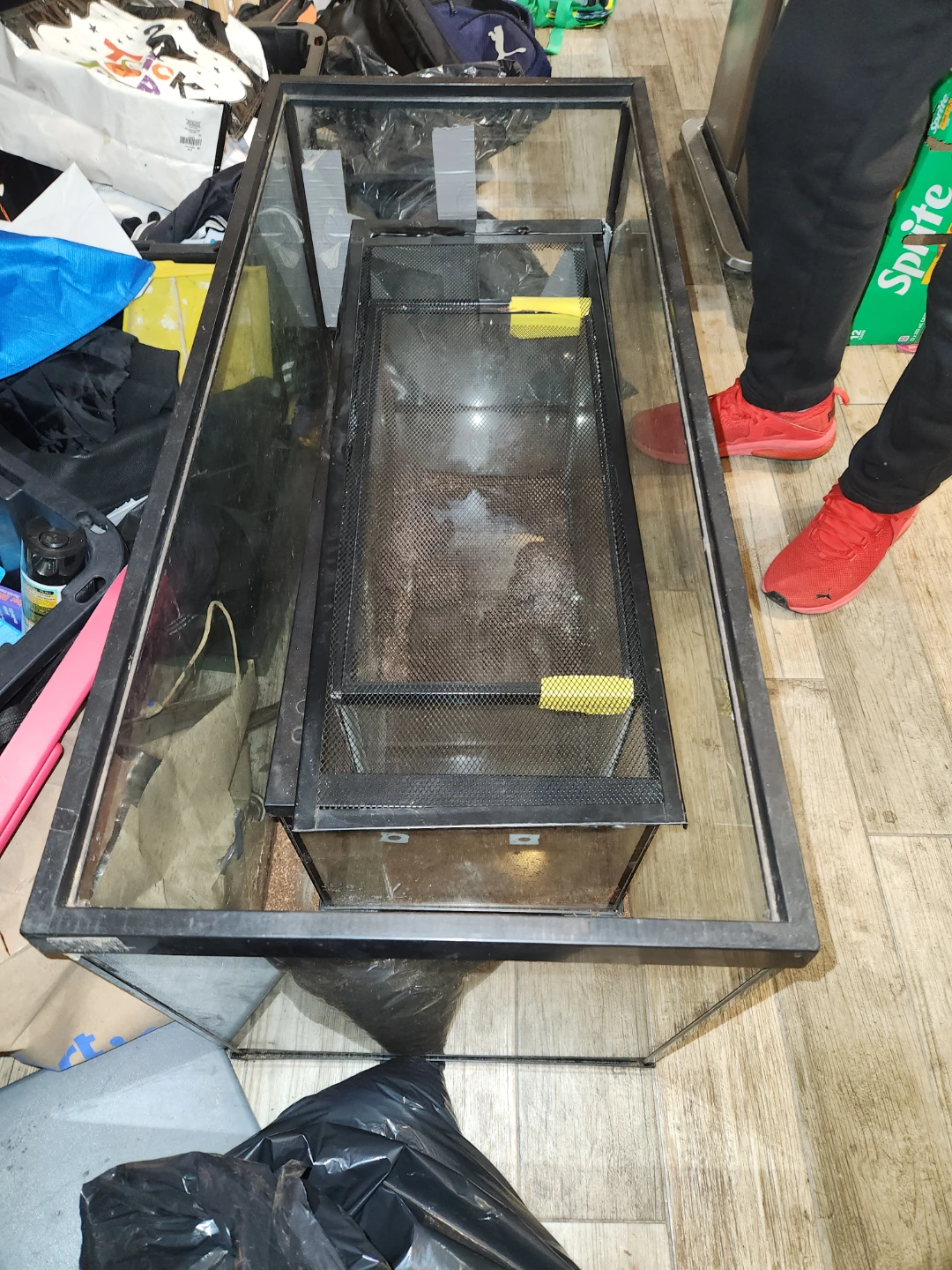 Glass Terrarium Tank - photo 2