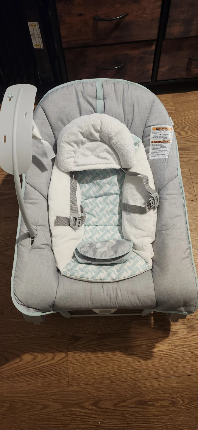 Baby Rocker Seat