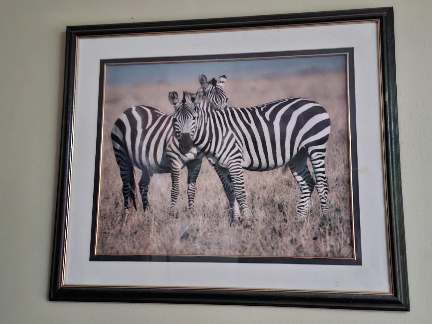 Framed Zebra Print