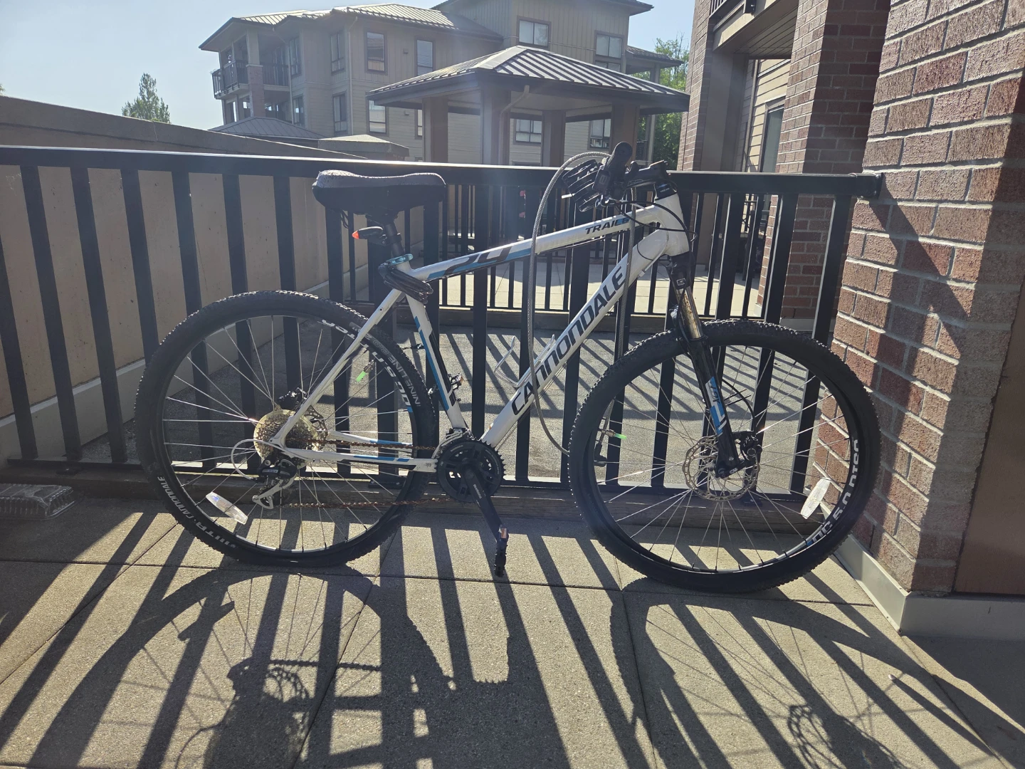 Free bikes