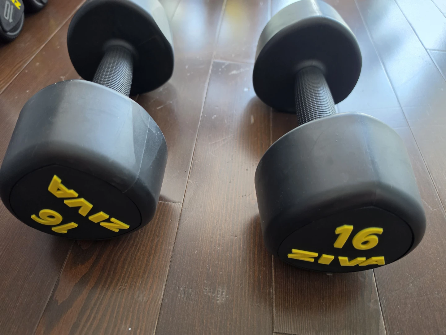 ZIVA 16 lb Dumbbells (Pair)