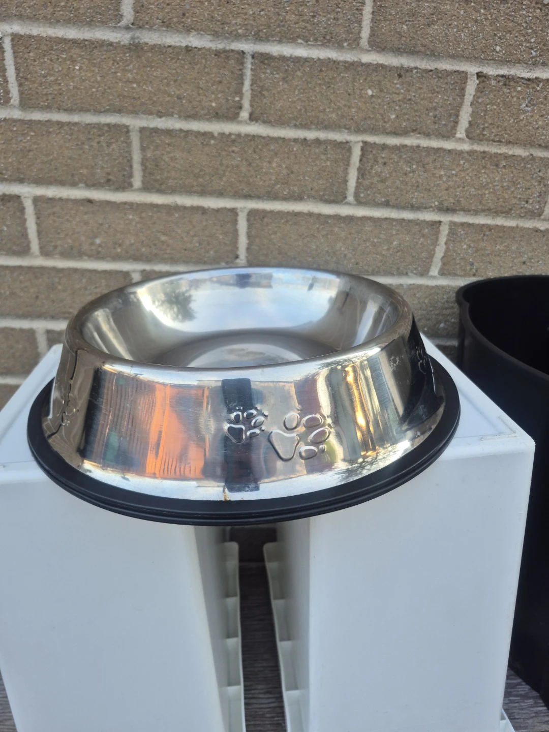 Stainless Steel Pet Bowl with Paw Print Design