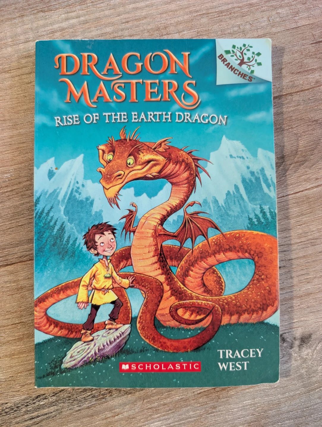 Dragon Masters Book Series by Tracey West