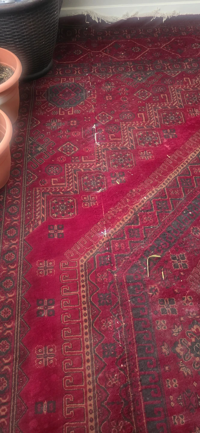 Red Area Rug