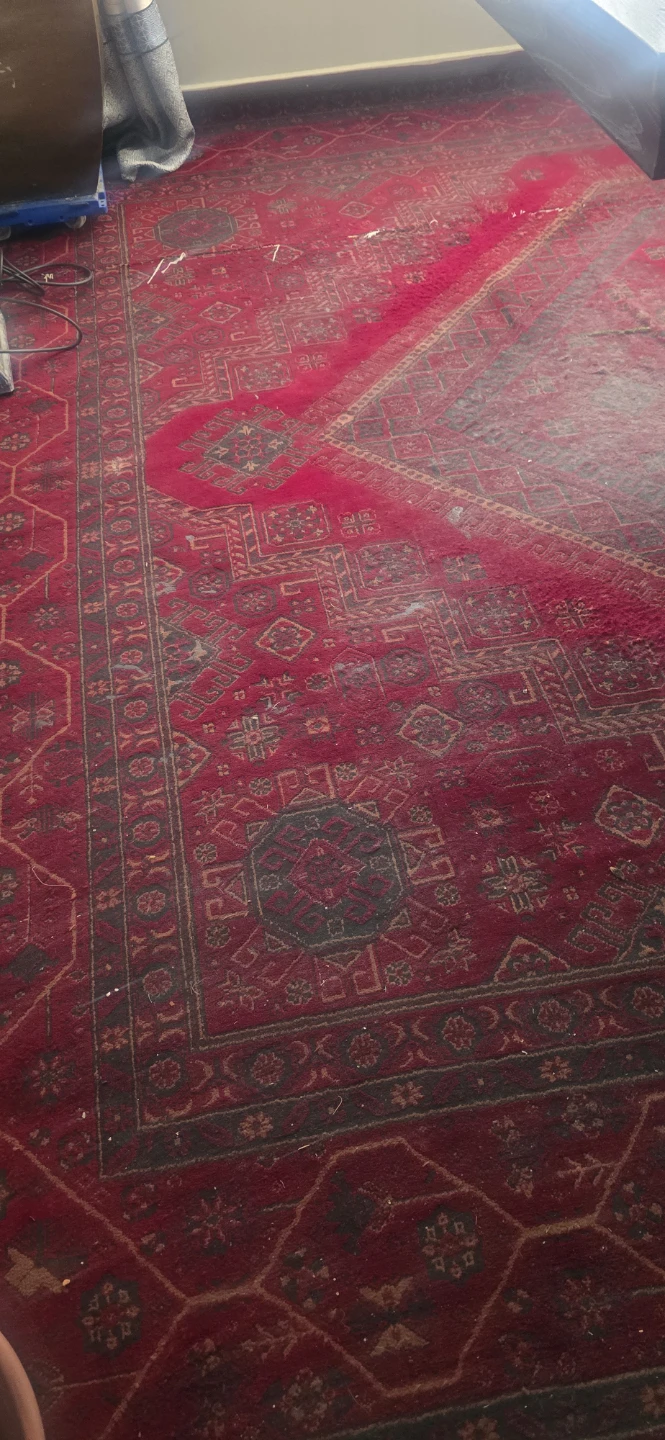 Red Area Rug - photo 3