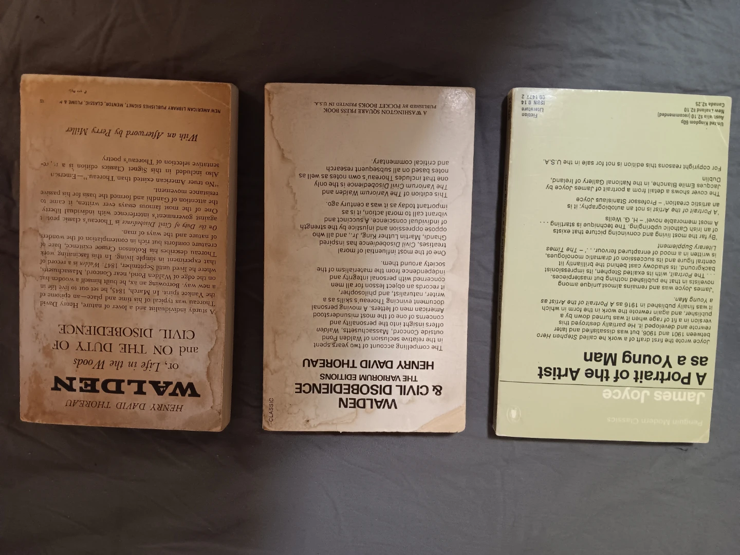 3 Books: James Joyce, Henry David Thoreau Walden - photo 2