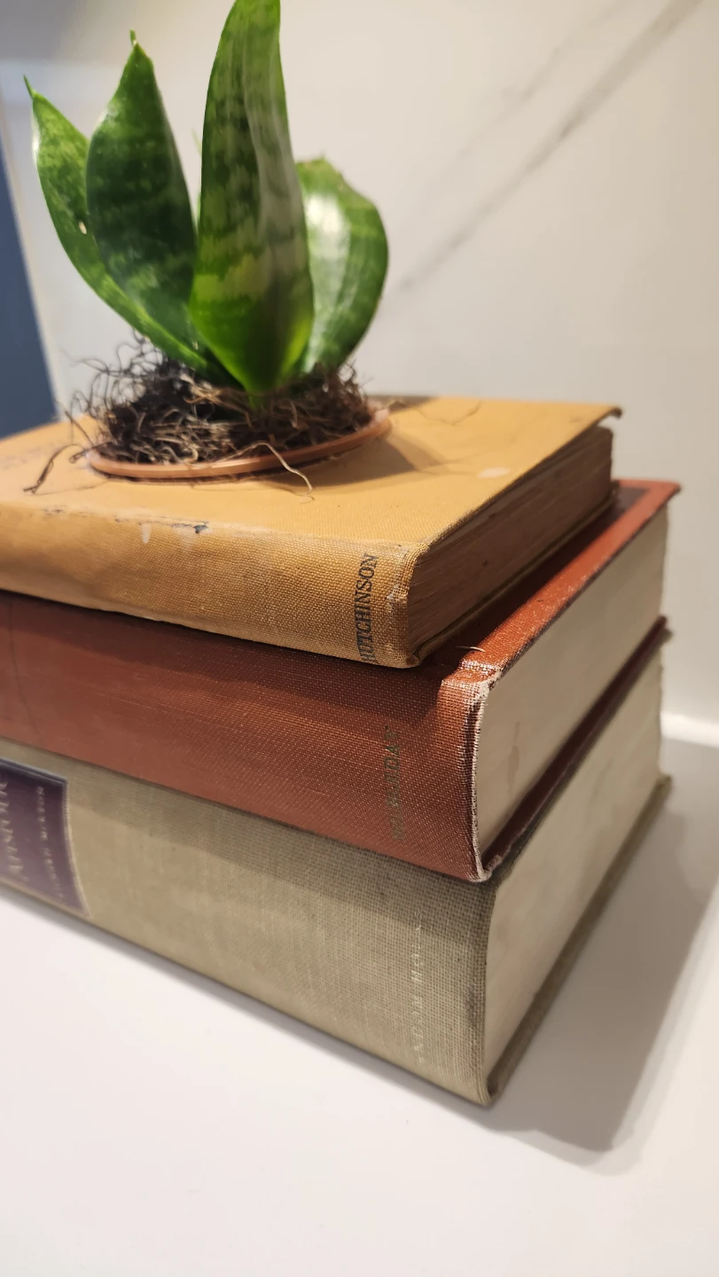 Upcycled orange vintage books planter with plants - photo 3