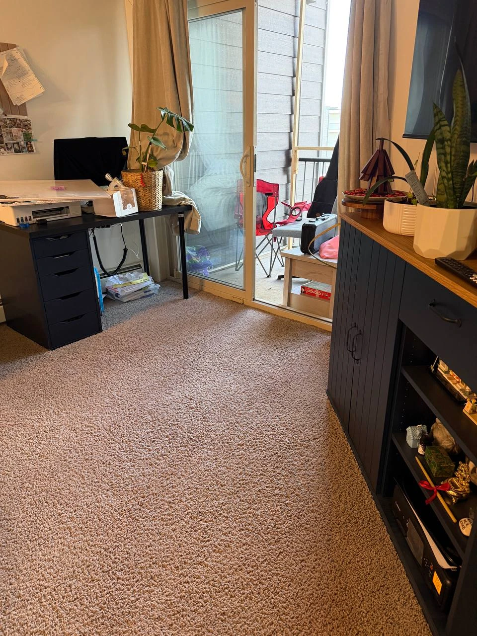 Carpet and couch cleaning - photo 3