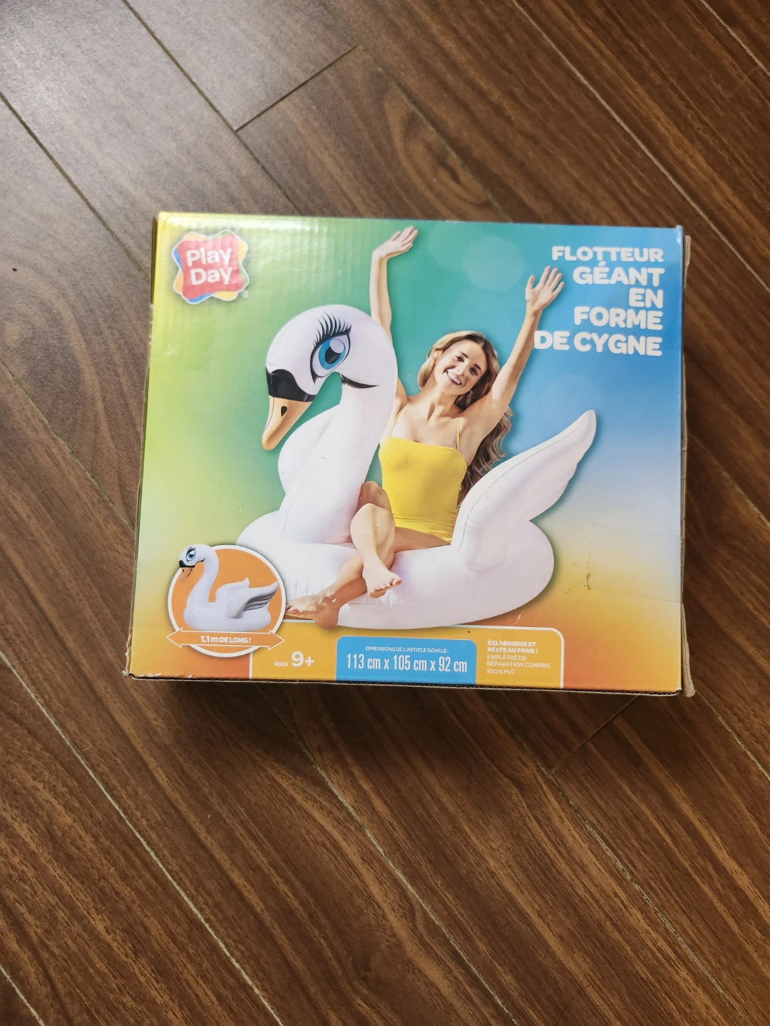 Play Day Giant Swan Pool Float