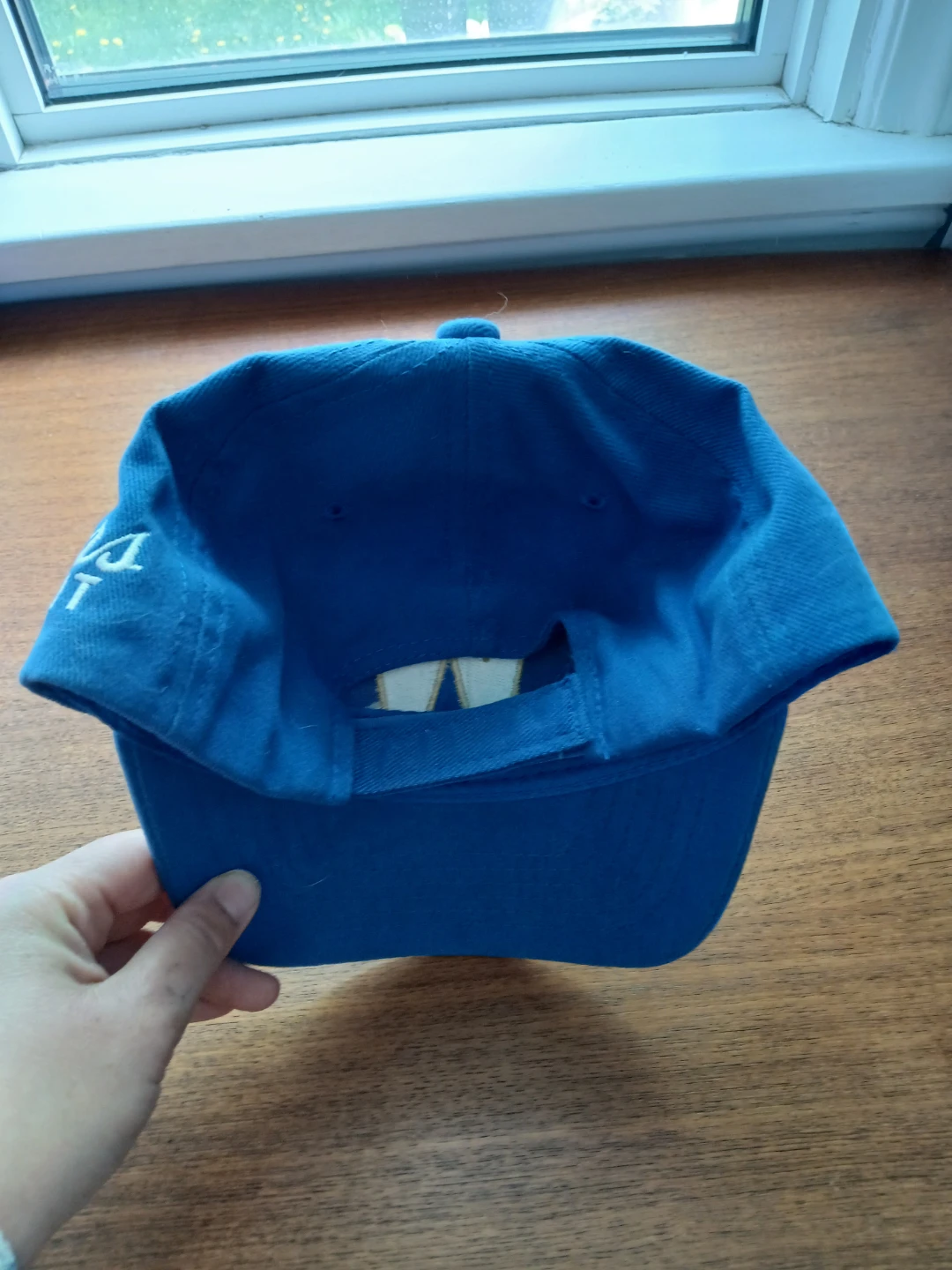 Winnipeg Blue Bombers - photo 2