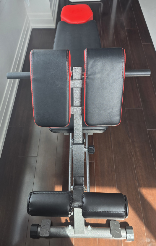 Adjustable Roman Chair Back Extension Bench - photo 3