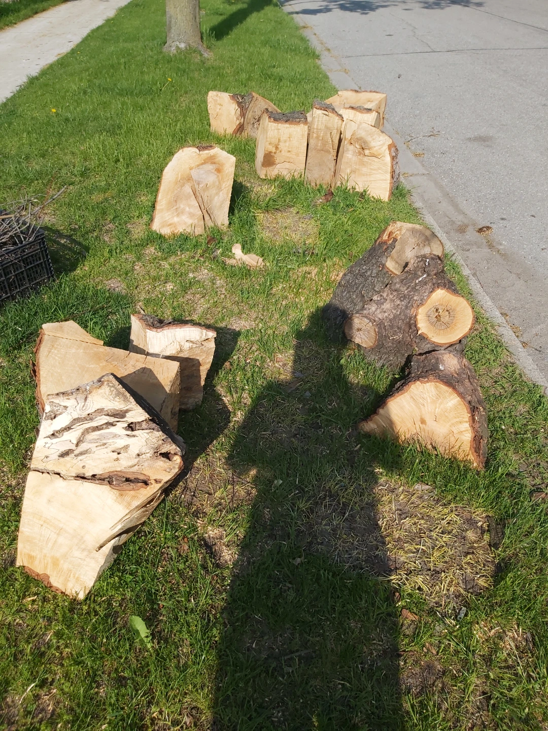Firewood logs