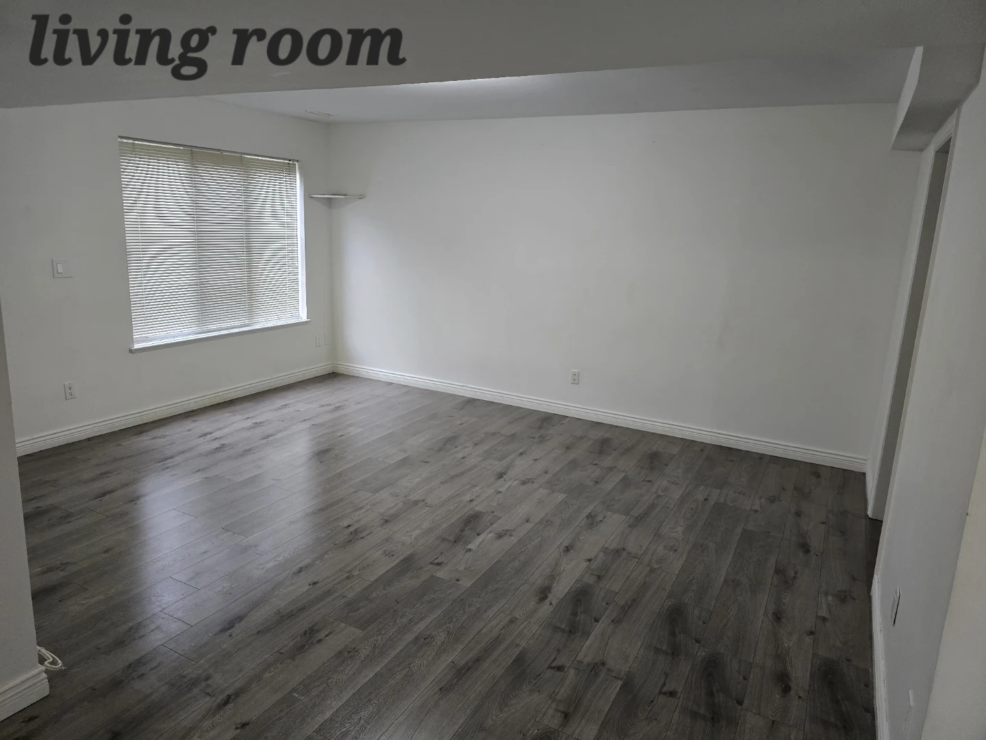 3 Bedroom Basement Suite for Rent - photo 2