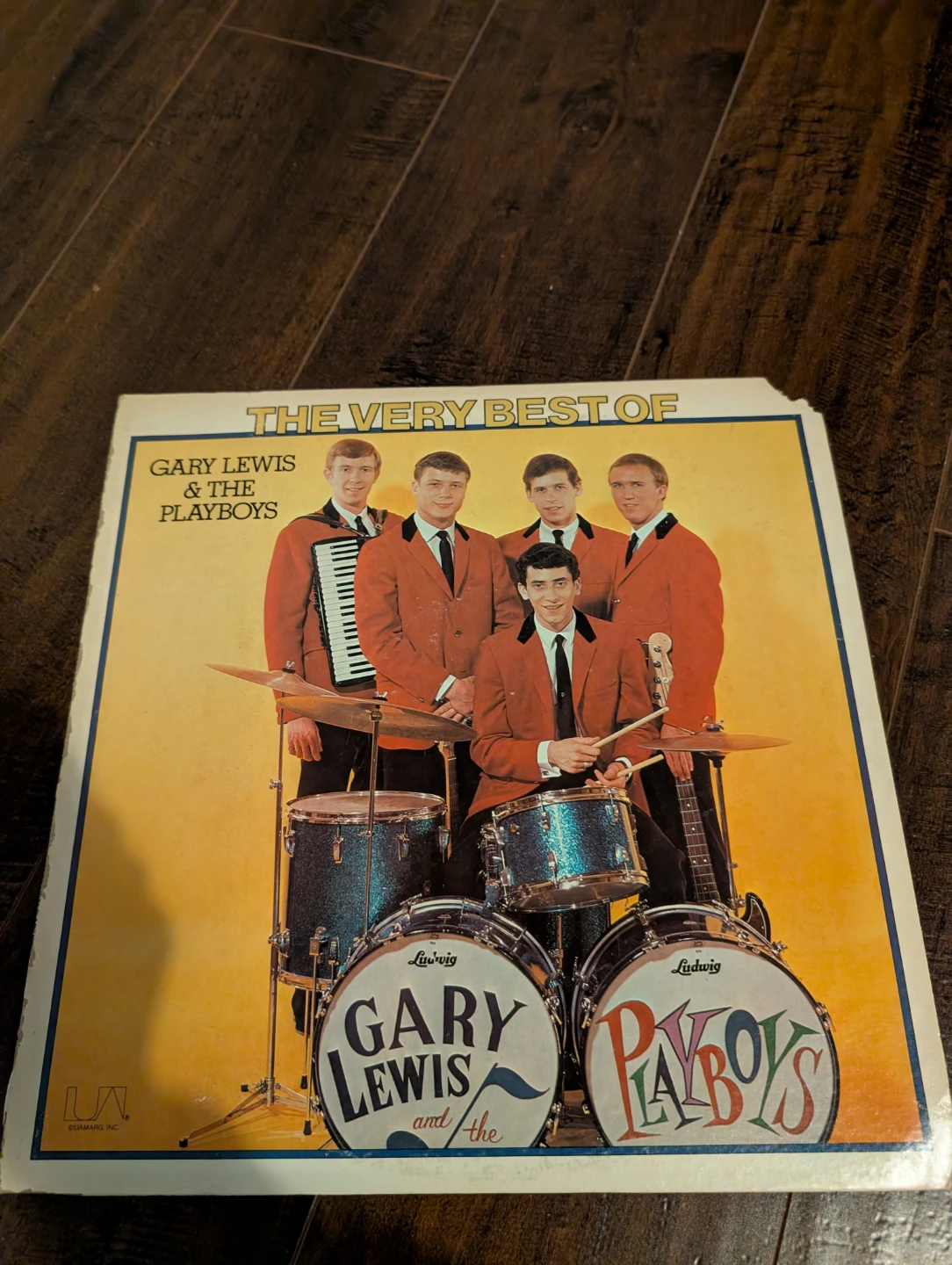 The Very Best of Gary Lewis & The Playboys Vinyl LP Record