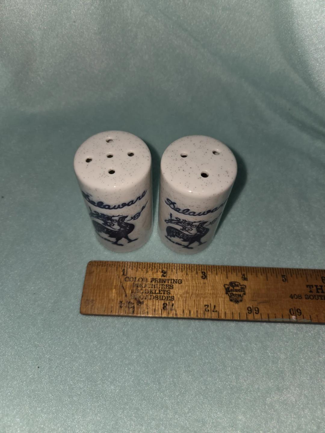 Delaware Salt and Pepper Shakers - photo 2