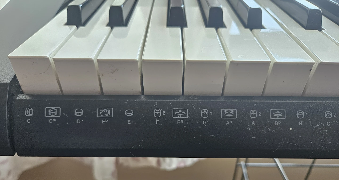 Casio CTK-2400 Keyboard - photo 4