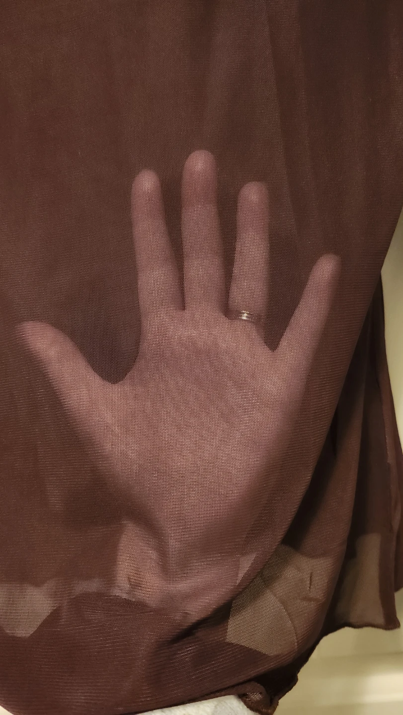 Sheer Long Sleeve Mesh Top - Brown - photo 3