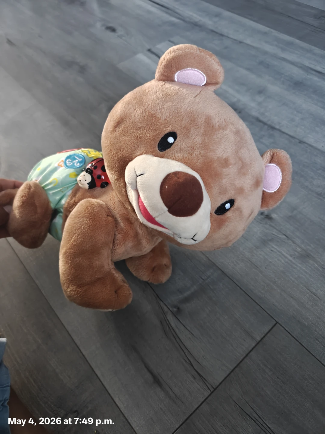 Fisher-Price Crawl with Me Learning Bear Toy - photo 2