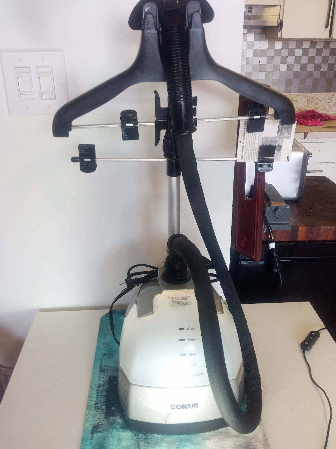 Conair Garment Steamer