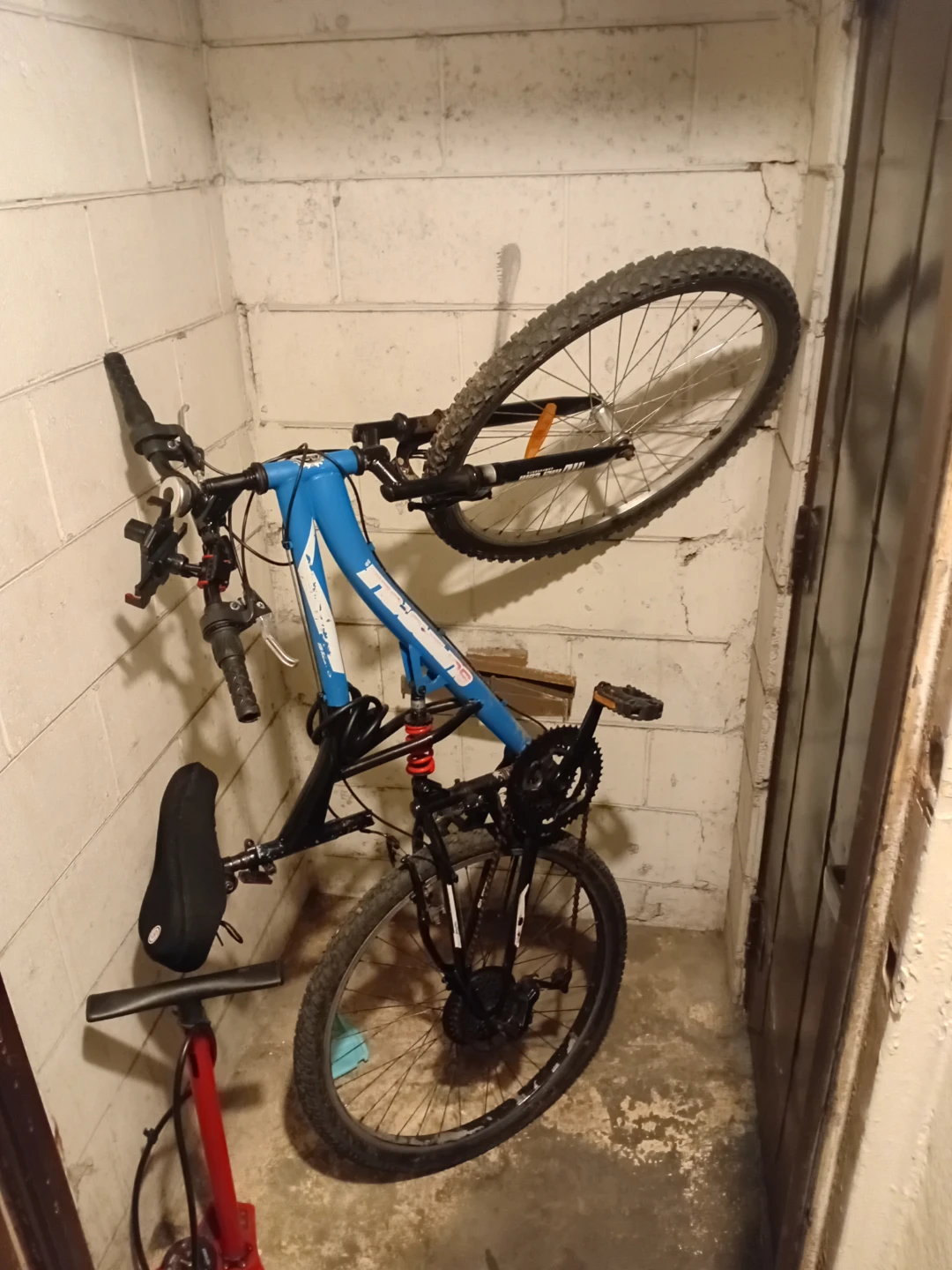 Blue Mountain Bike